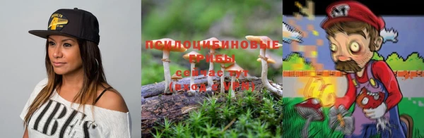 амф Губаха