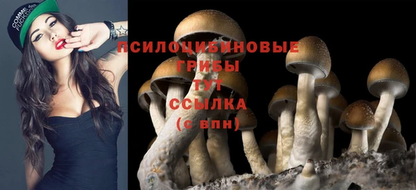 a pvp Рославль