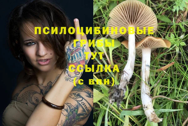 Альфа ПВП Абинск