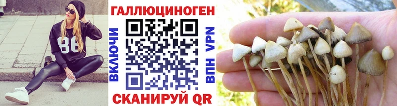 Галлюциногенные грибы MAGIC MUSHROOMS  наркошоп  Туран 
