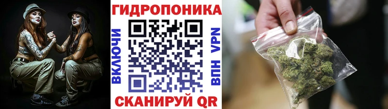 Шишки марихуана конопля  Туран 